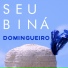Seu Biná