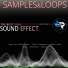 Danirava Records Samples Area