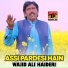 Wajid Ali Haideri