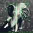 S-J-R