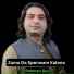 Rehman Gul