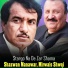 Shazwan Manawar, Mirwais Shwqi