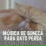Cat Music