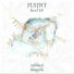 FLYJNT