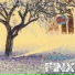 Finx
