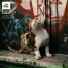 The Lab Catz, Lofi Munk Music