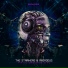 The Straikerz & Arzadous