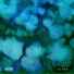 Wax Machine
