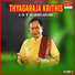 Dr. M. Balamuralikrishna