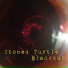 Stoned Turtle
