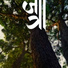 Jatra Collective