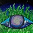 LandEye