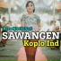 Koplo Ind, Reza NovitaSari