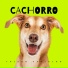 Thiago Carvalho