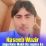 Naseeb Wazir