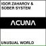 Igor Zaharov, Sober System