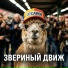 ЭТСАМОЕ