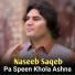 Naseeb Saqeb
