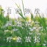 疗愈音律