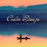 Calm Lofi Beats