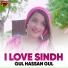 Gul Hassan Gul