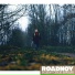 RoadNoy