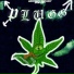 Young Type