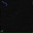0BM