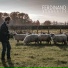 Ferdinand