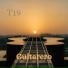T19