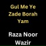 Raza Noor Wazir feat. Shandi Gul Wazir