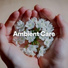 Meditation Music Club