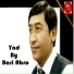 Bari Abro