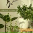 Plant House & Garden