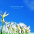 Landscape Sound