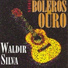 Waldir Silva