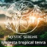 Mystic Serene