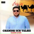Saleem Alyani