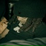 JGreen