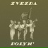 Zvezda Polyn'