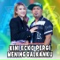 Kiki Aprilia feat. Ageng Music, Brodin