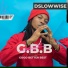 Dslowwise