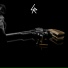 Griphon