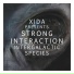 Strong Interaction pres. Xida feat. Xida