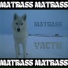 MATRASS
