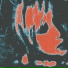 2003, CUTELXVE