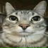 risTo