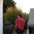 Chris Cohen