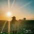 Malou [drivemusic.me]