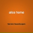 Serene Soundscapes